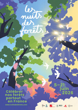 nuits des forets.jpeg